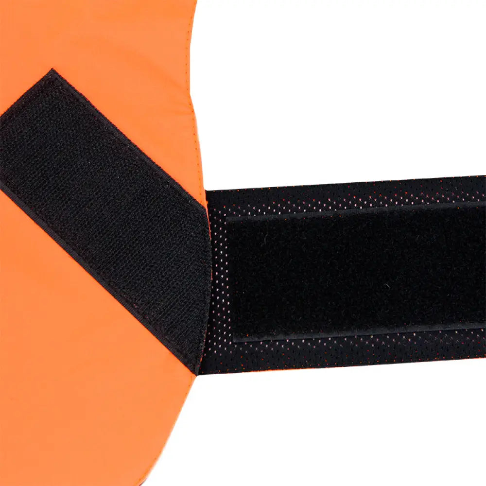 Kivalo koiran huomioliivi kajo - turvaliivi - wildpoint outdoors retkeilyvarusteet verkkokaupasta