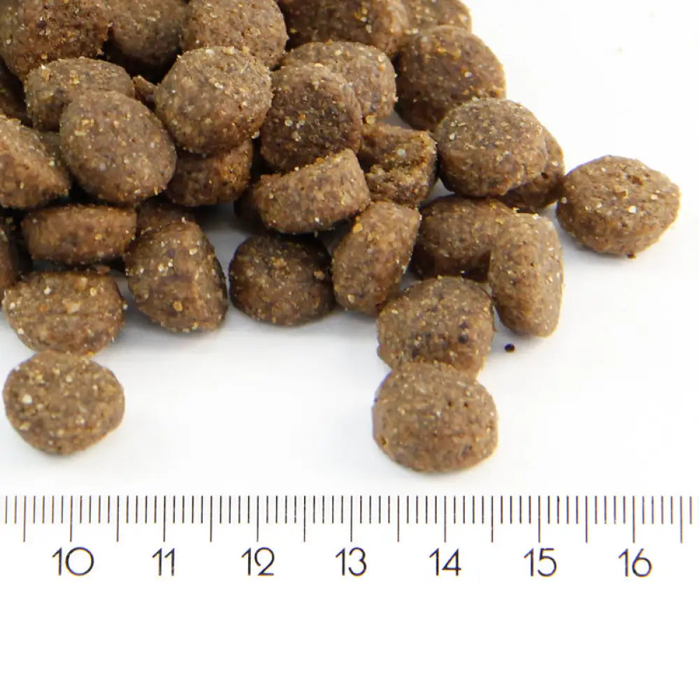 Probooster adult mini & medium - wildpoint outdoors retkeilyvarusteet verkkokaupasta