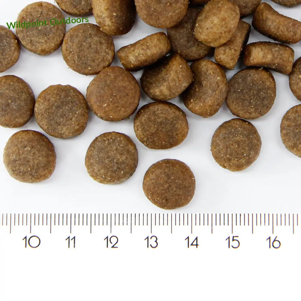 Probooster adult sensitive salmon - wildpoint outdoors retkeily