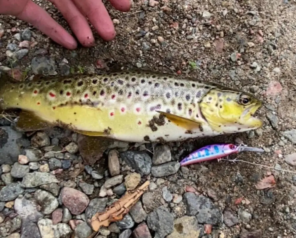 Wildpoint lilla 7cm 6g - outdoors retkeily 3,90 €