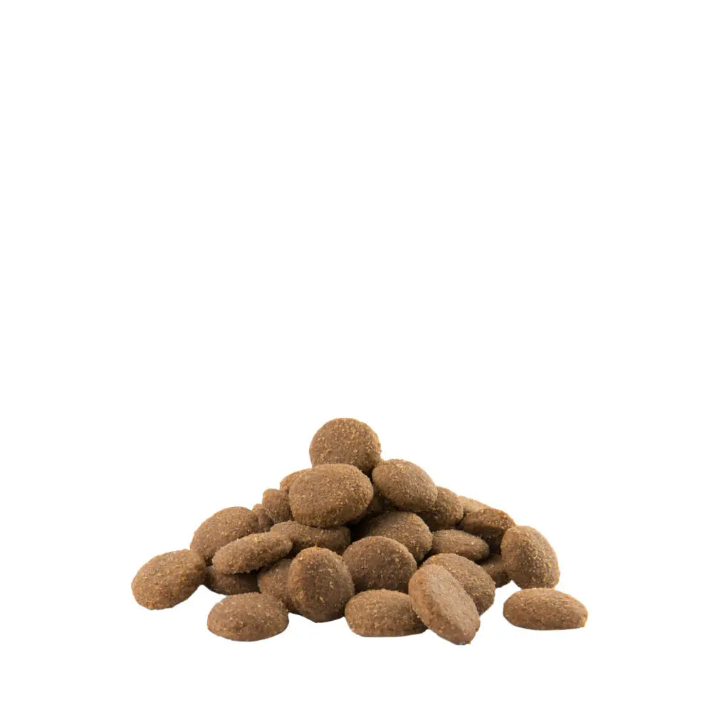 12,5 kg opti life adult maxi - wildpoint outdoors retkeilyvarusteet verkkokaupasta 62,90 €