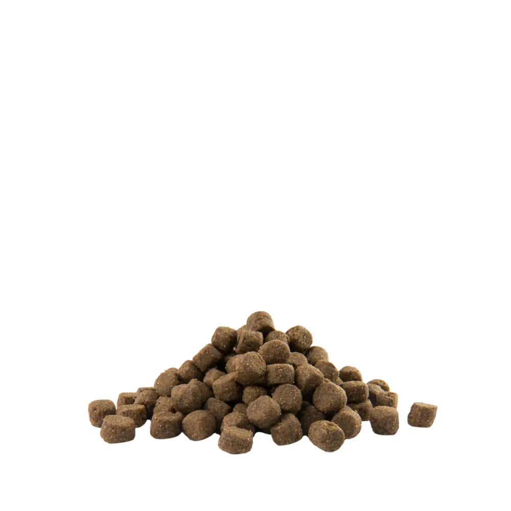 12,5 kg opti life adult skin care medium & maxi - retkeilyvarusteet verkkokaupasta 66,90 €