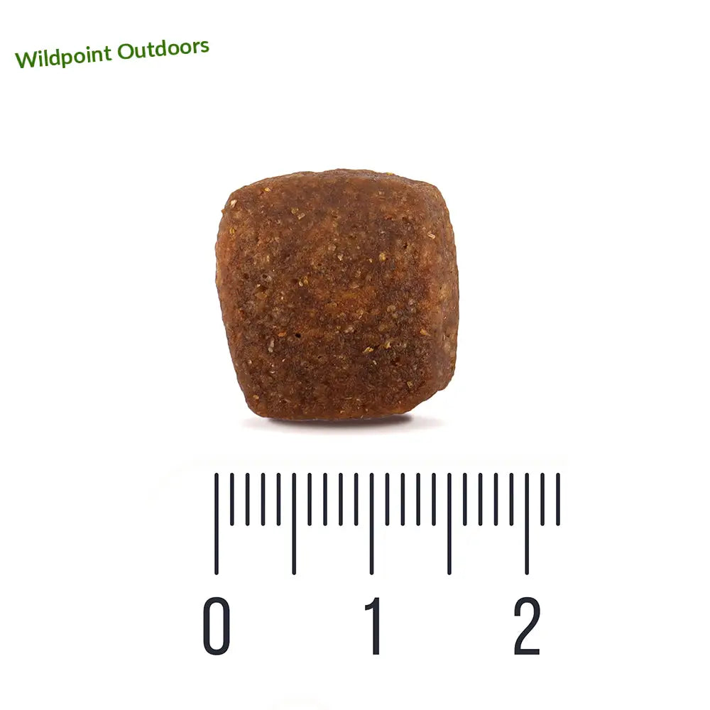 12 kg quattro dog sport adult all breed - wildpoint retkeily 46,90 €