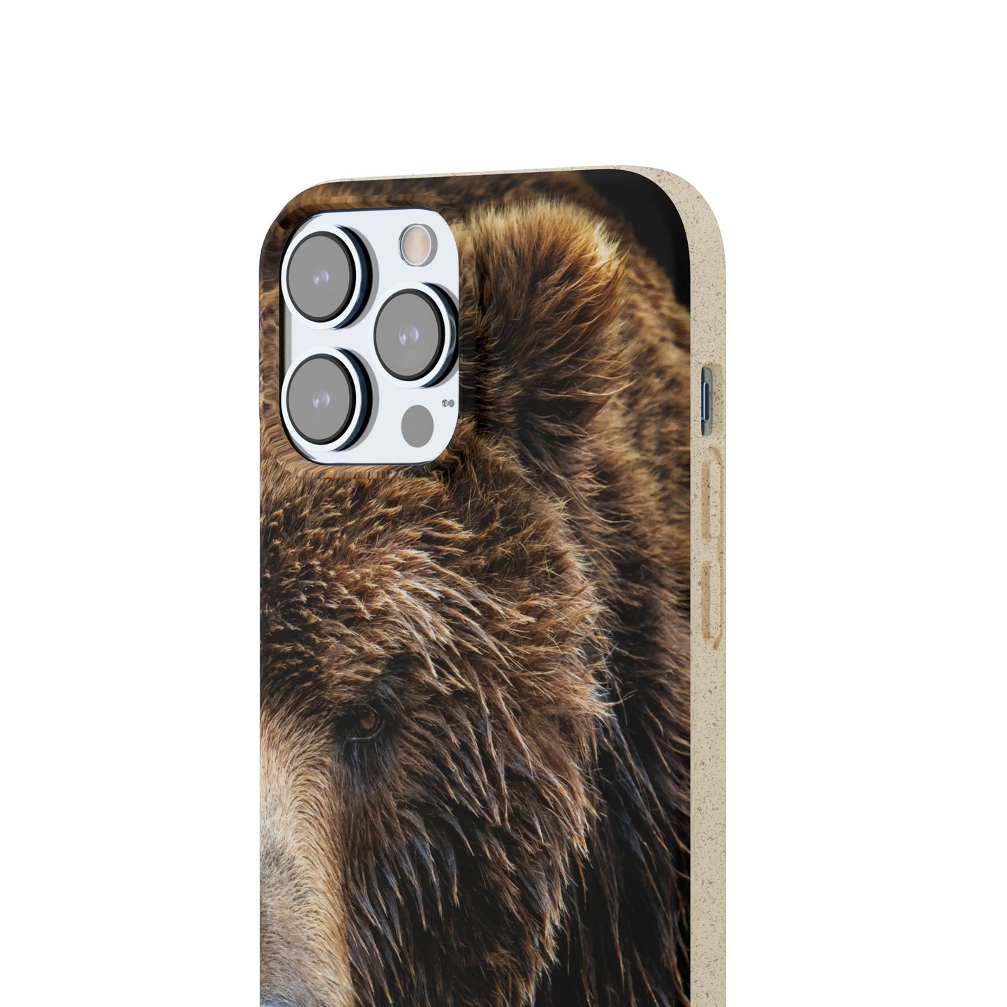 Brunbjörn - Eko-fodral