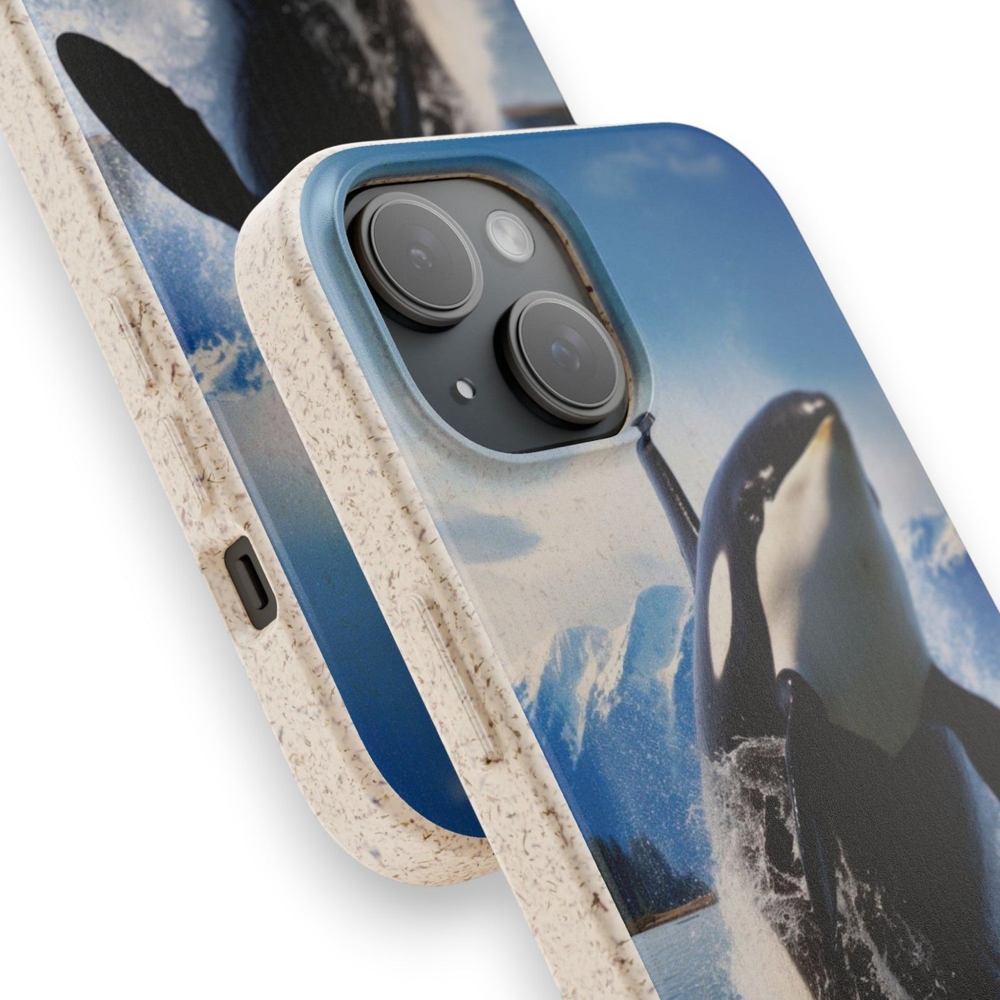 Orca Awakening - Eko-fall