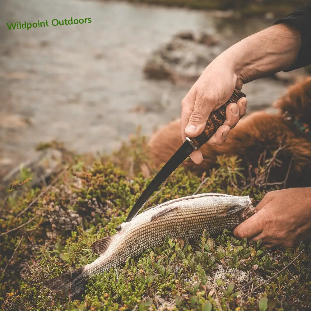 Big fillet knife - knife - wildpoint outdoors retkeily 185 €