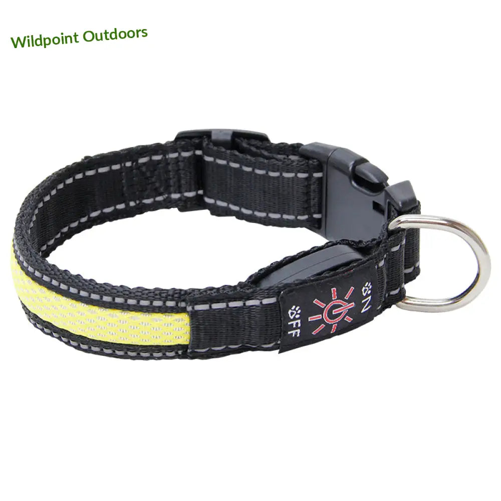 Boogie see me koiran led-valopanta keltainen - s 2.5 cm x 35-40 - retkeily 14,90 €