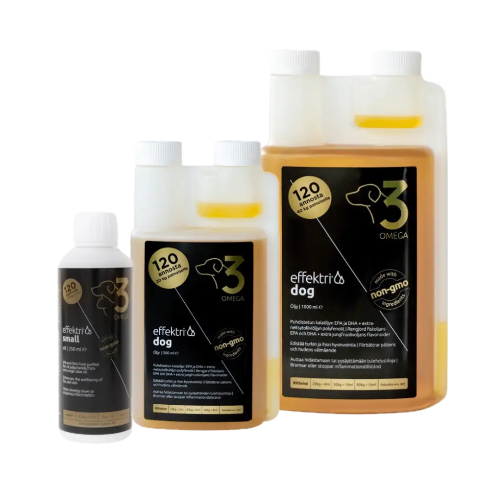 Effektri omega-3 koiralle ihon ja turkien hoitoon - lisäravinne retkeily