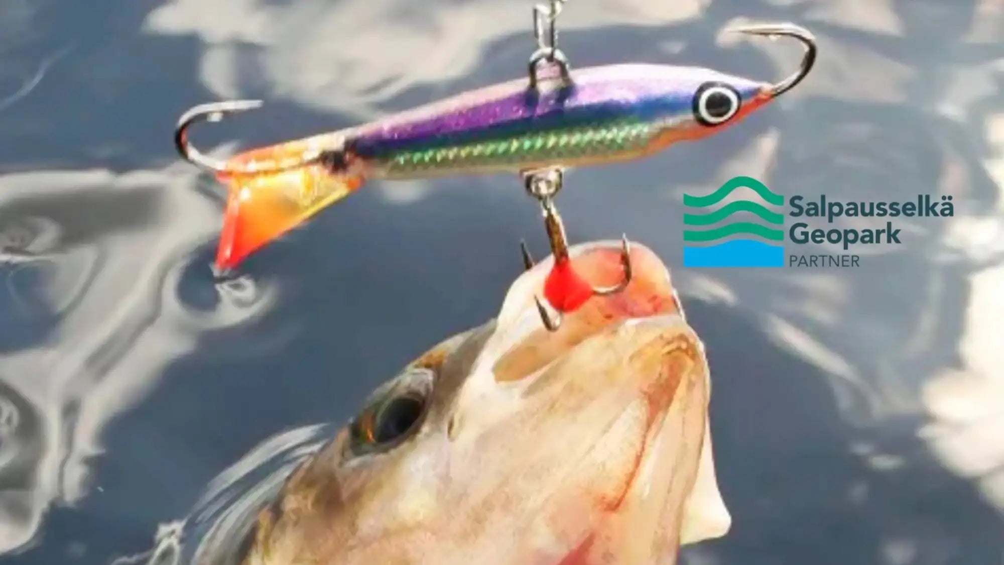 Deep fishing from boat Wildpoint Adventures Heinola Finland