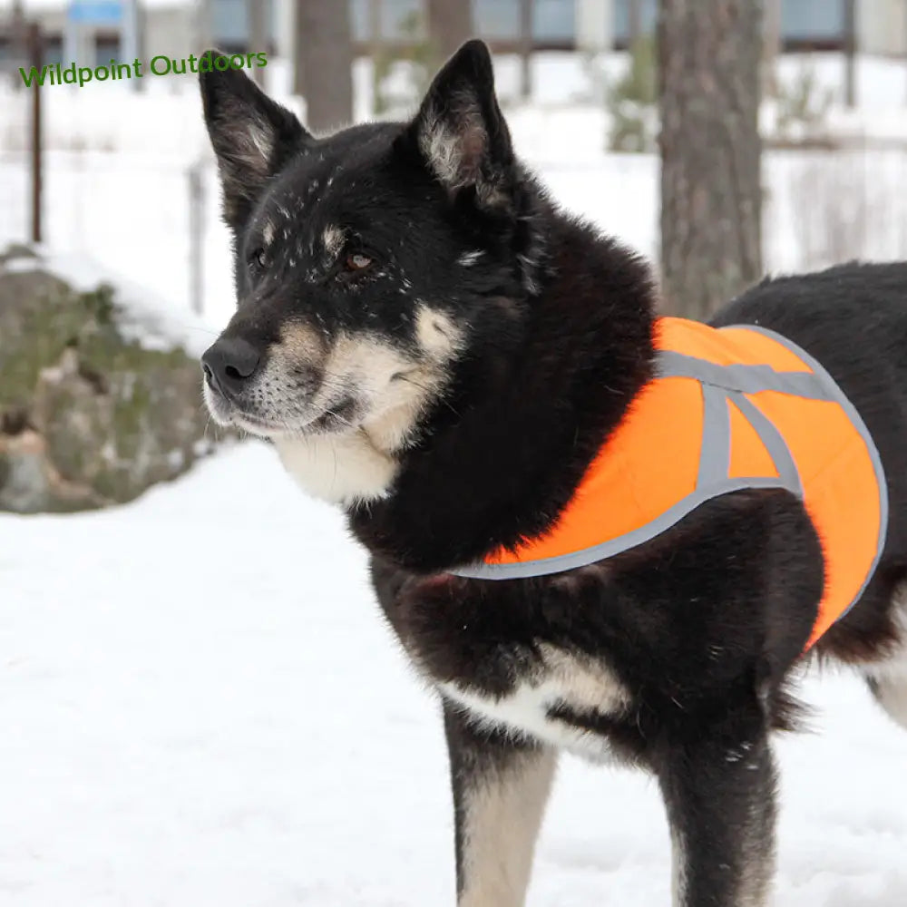 Kivalo koiran heijastinliivi kaamos - wildpoint retkeily