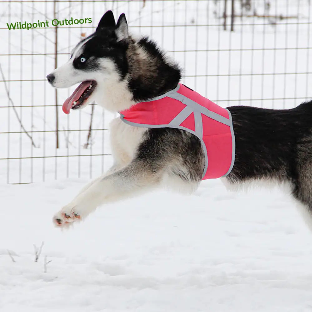 Kivalo koiran heijastinliivi kaamos - wildpoint retkeily