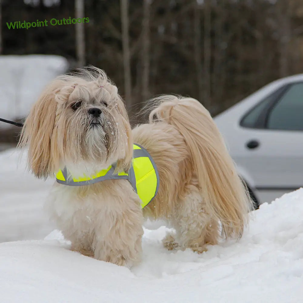 Kivalo koiran heijastinliivi kaamos - wildpoint retkeily