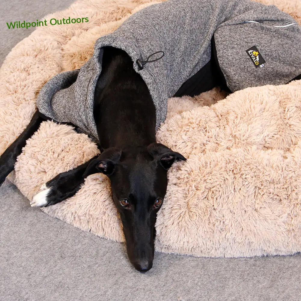 Kivalo koiran lämpöpaita luppo - wildpoint outdoors retkeily