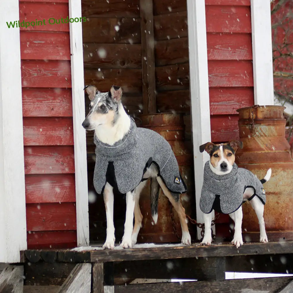 Kivalo koiran lämpöpaita luppo - wildpoint outdoors retkeily