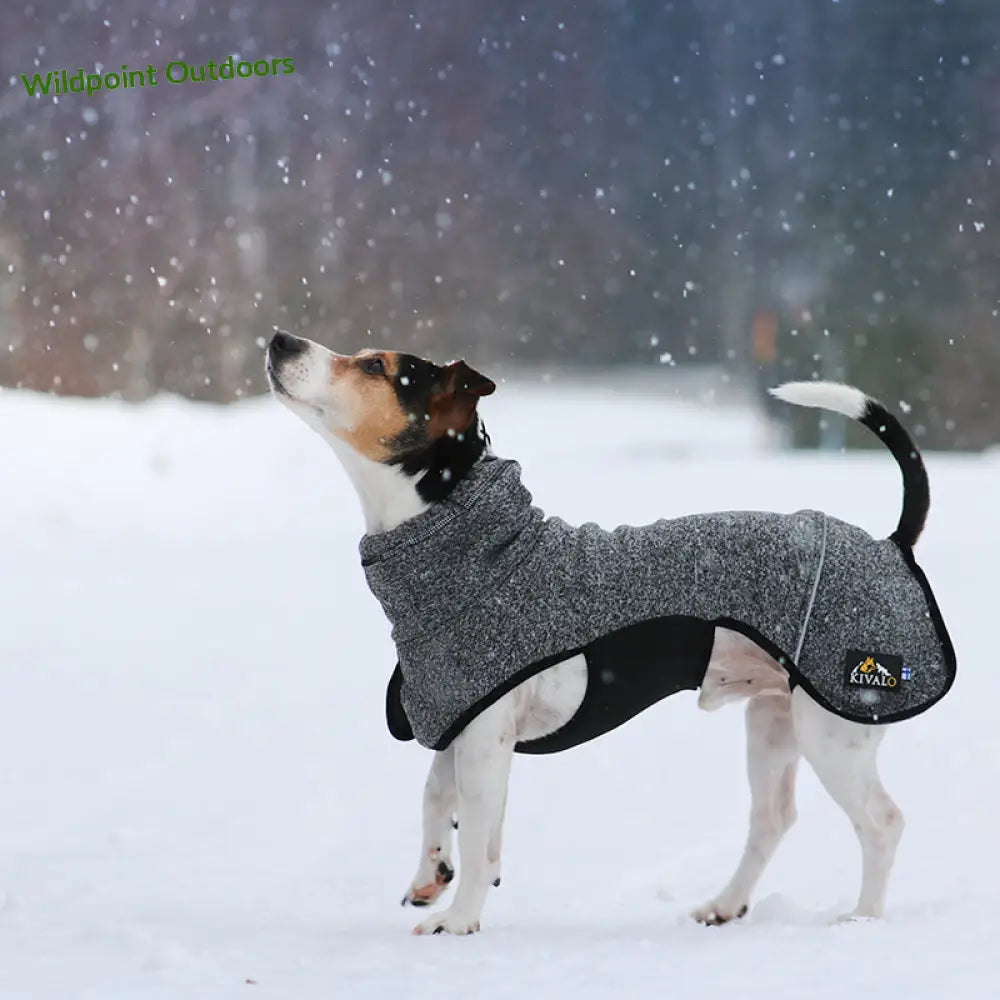 Kivalo koiran lämpöpaita luppo - wildpoint outdoors retkeily