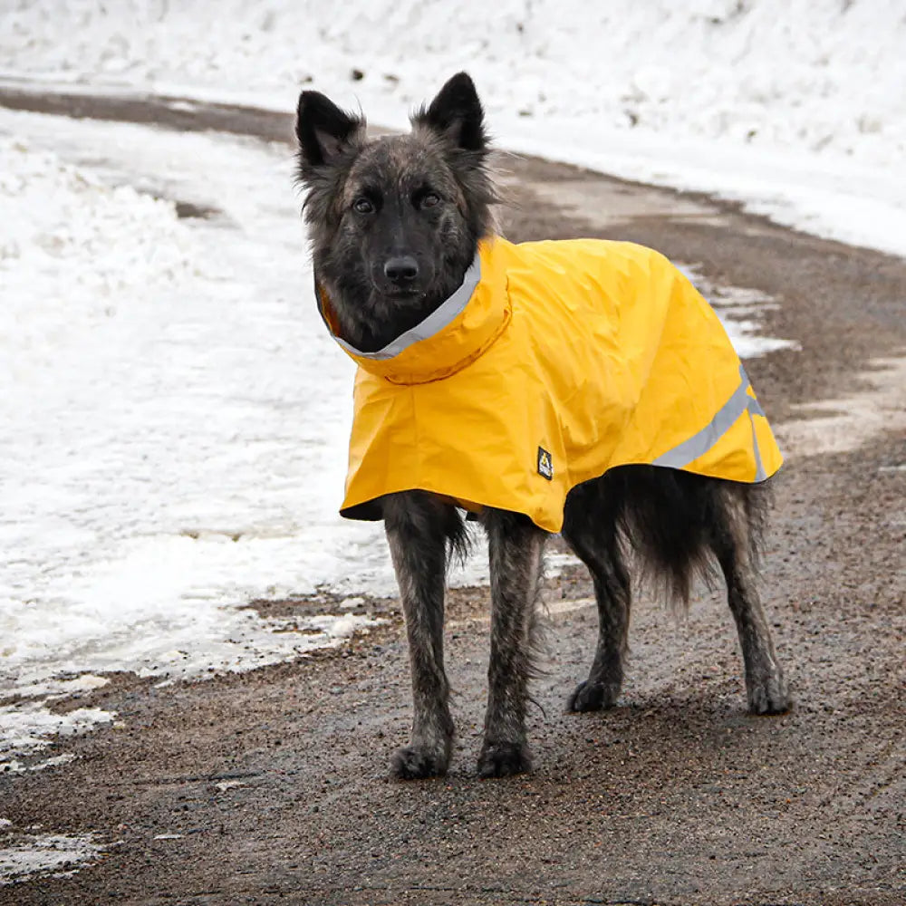 Kivalo koiran sadetakki niva - koiran - wildpoint outdoors retkeilyvarusteet verkkokaupasta