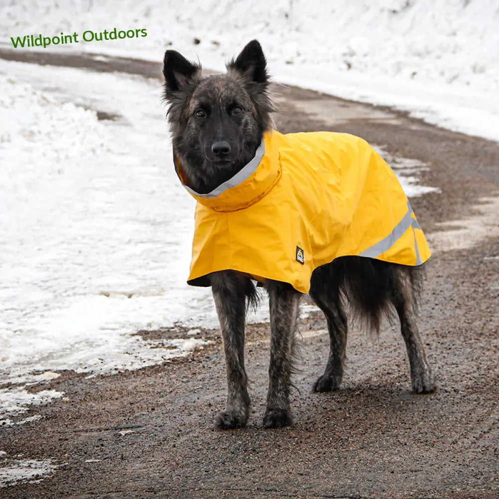 Kivalo koiran sadetakki niva - wildpoint outdoors retkeily