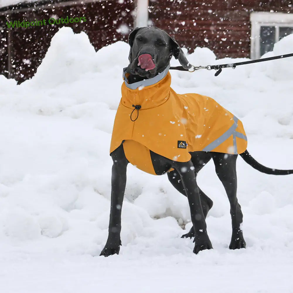 Kivalo koiran sadetakki niva - wildpoint outdoors retkeily