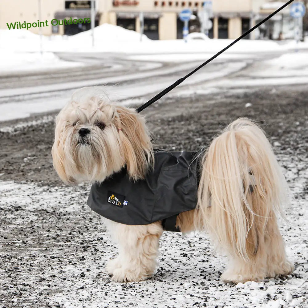 Kivalo koiran sadetakki niva - wildpoint outdoors retkeily