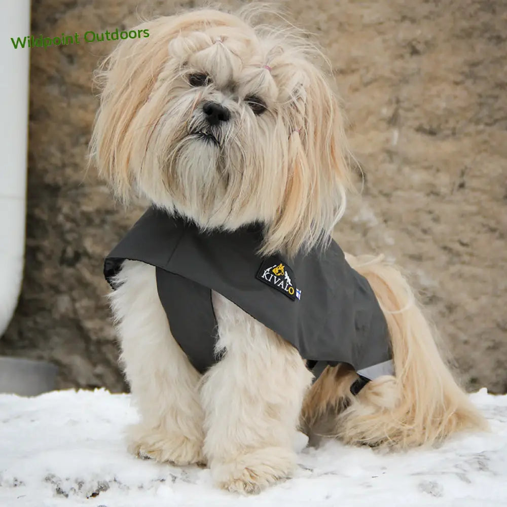 Kivalo koiran sadetakki niva - wildpoint outdoors retkeily