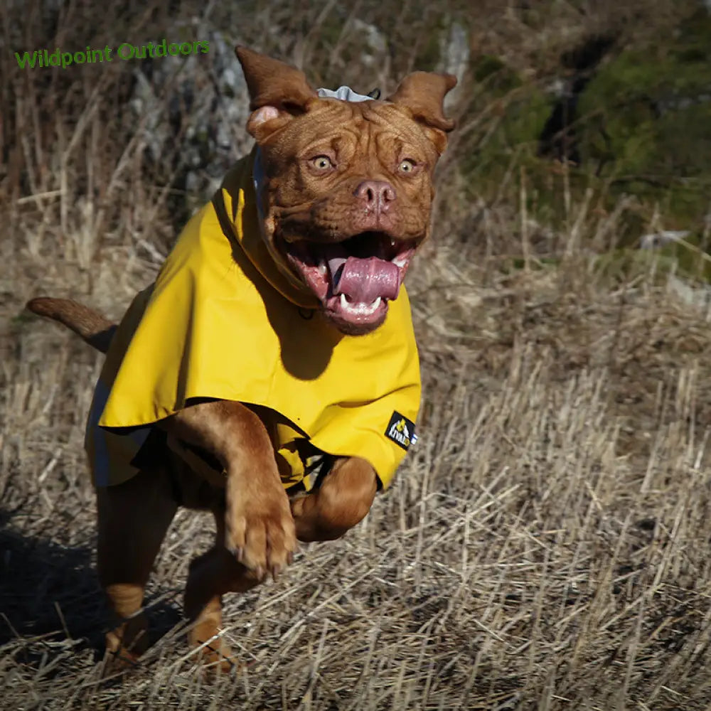 Kivalo koiran sadetakki niva - wildpoint outdoors retkeily