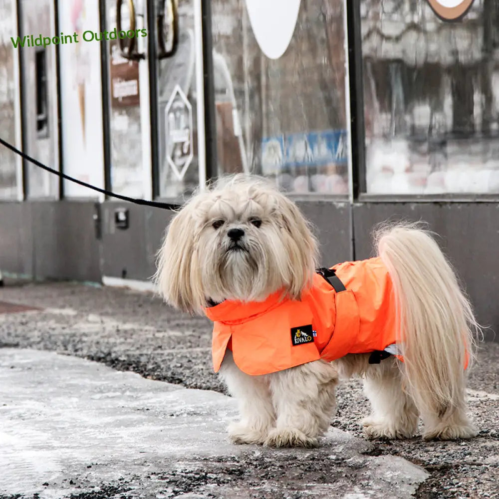 Kivalo koiran takki ohto - wildpoint outdoors retkeily
