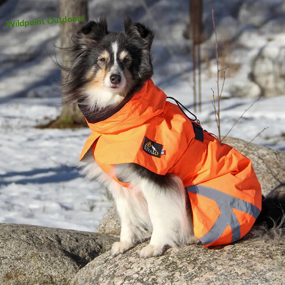 Kivalo koiran takki ohto - wildpoint outdoors retkeily