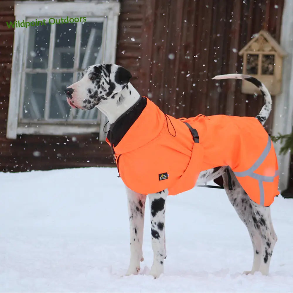 Kivalo koiran takki ohto - wildpoint outdoors retkeily