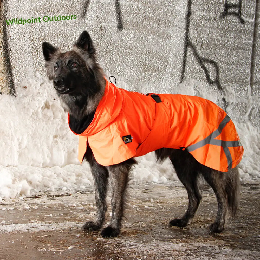 Kivalo koiran takki ohto - wildpoint outdoors retkeily