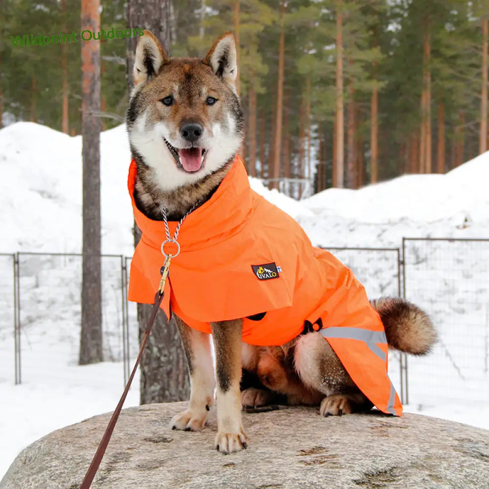 Kivalo koiran takki ohto - wildpoint outdoors retkeily