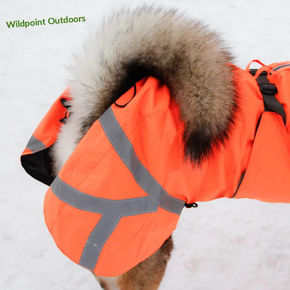 Kivalo koiran takki ohto - wildpoint outdoors retkeily