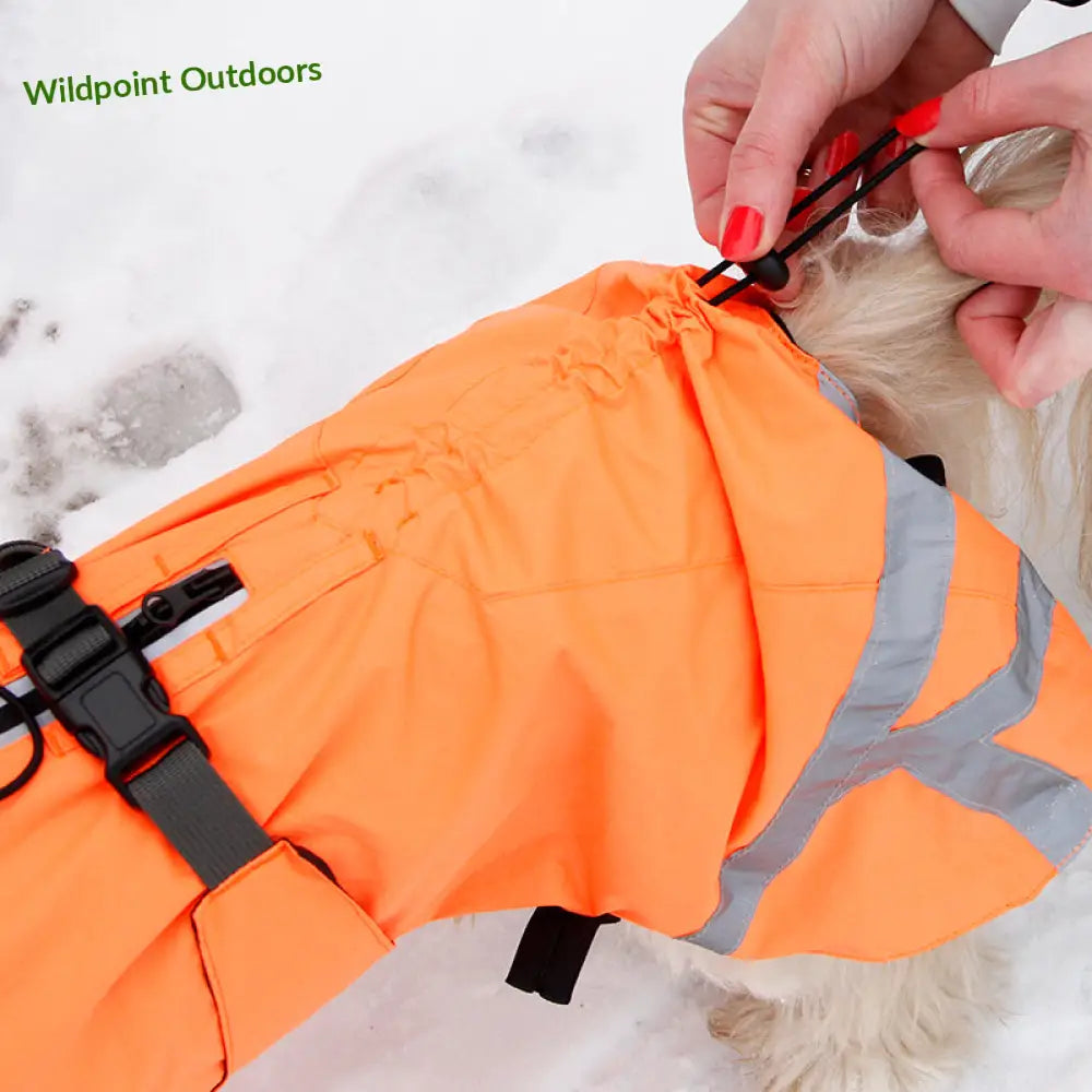 Kivalo koiran takki ohto - wildpoint outdoors retkeily