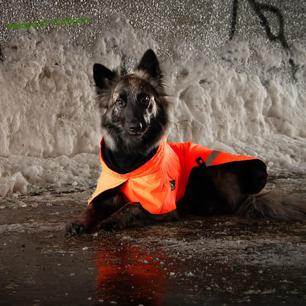 Kivalo koiran takki ohto - wildpoint outdoors retkeily