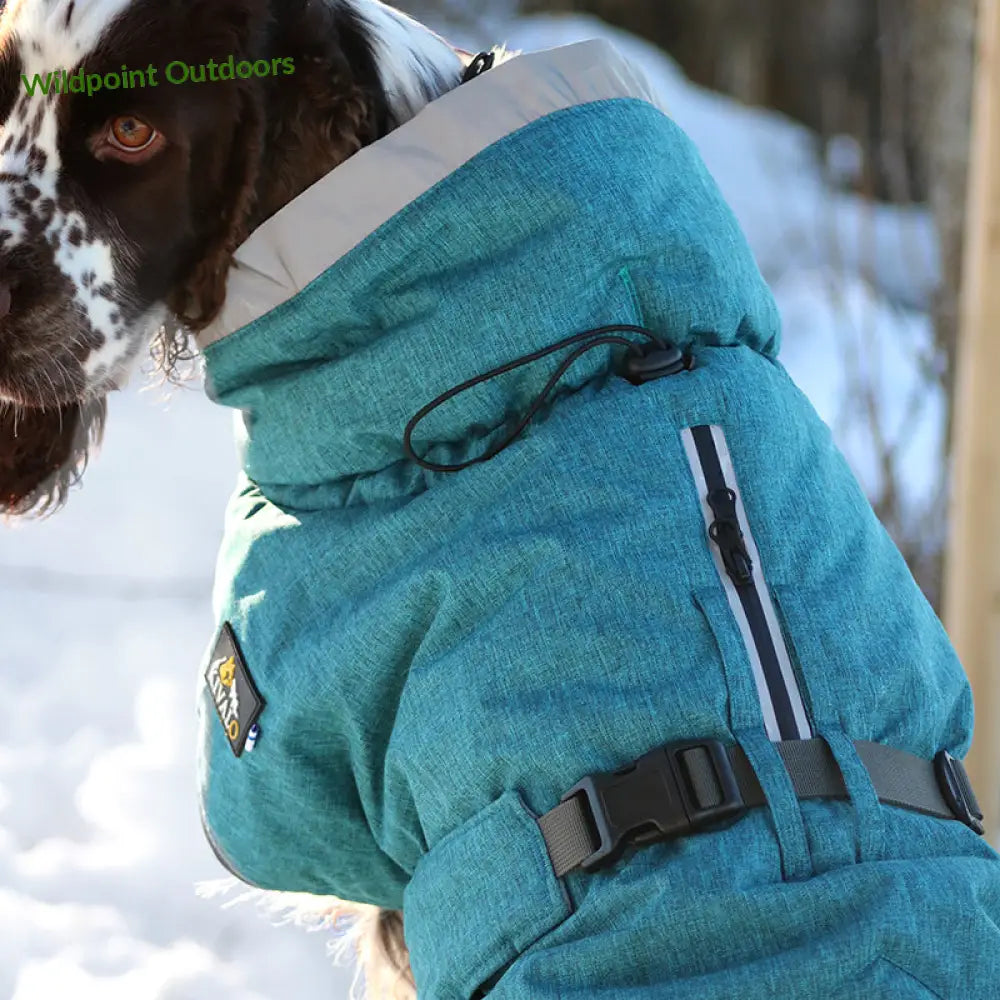 Kivalo koiran toppatakki luosto - 35cm puro (petrooli) - wildpoint outdoors retkeily 54 €