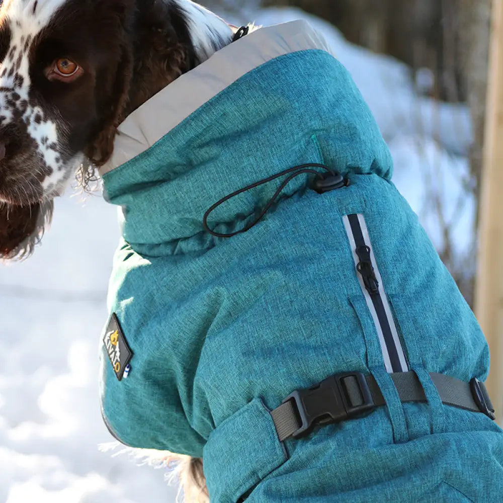 Kivalo koiran toppatakki luosto - 35cm puro (petrooli) - takki - wildpoint outdoors retkeilyvarusteet verkkokaupasta