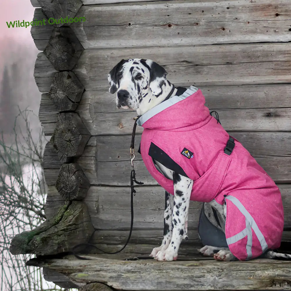 Kivalo koiran toppatakki luosto - 35cm vanamo (pinkki) - wildpoint outdoors retkeily 54 €