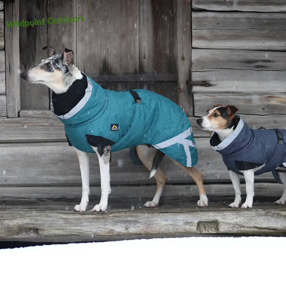 Kivalo koiran toppatakki luosto - wildpoint outdoors retkeily