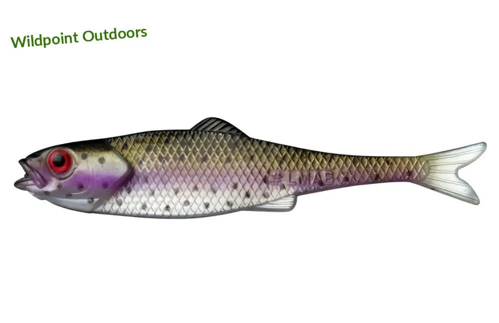 Lmab finesse filet 11cm - rainbow trout 3kpl - wildpoint outdoors retkeily 6,50 €