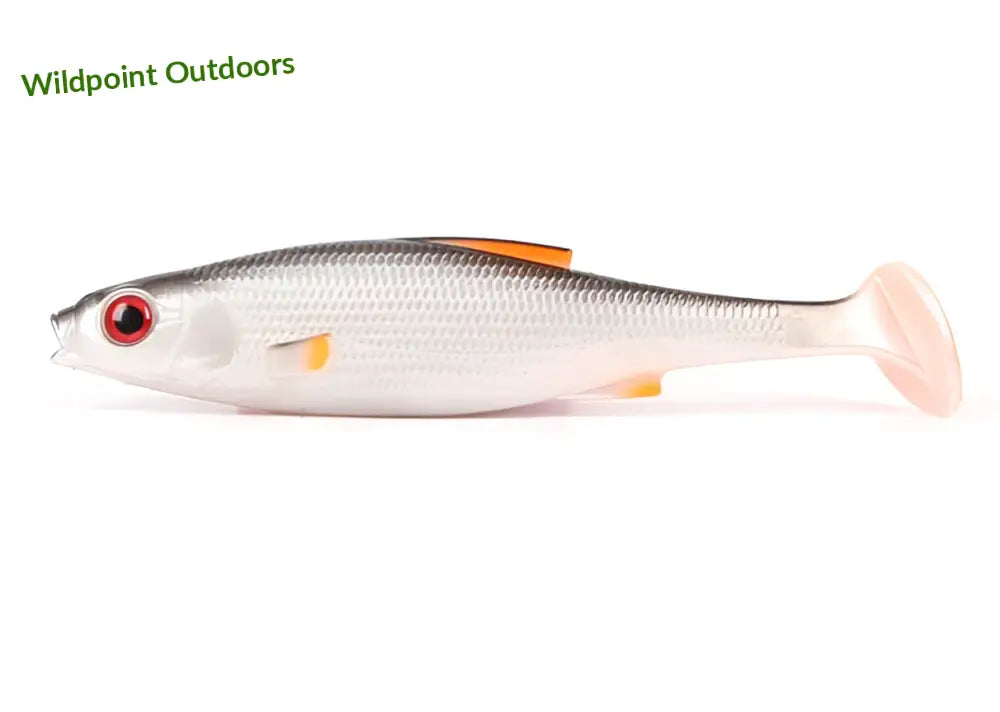 Lmab køfi roach shad 26cm - 26 cm real - wildpoint outdoors retkeily 13,50 €