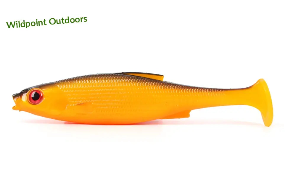 Lmab køfi roach shad - wildpoint outdoors retkeily