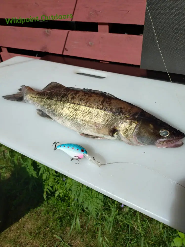 Ottipoika - wobbler 7cm 14g - wildpoint - outdoors retkeily 6,90 €