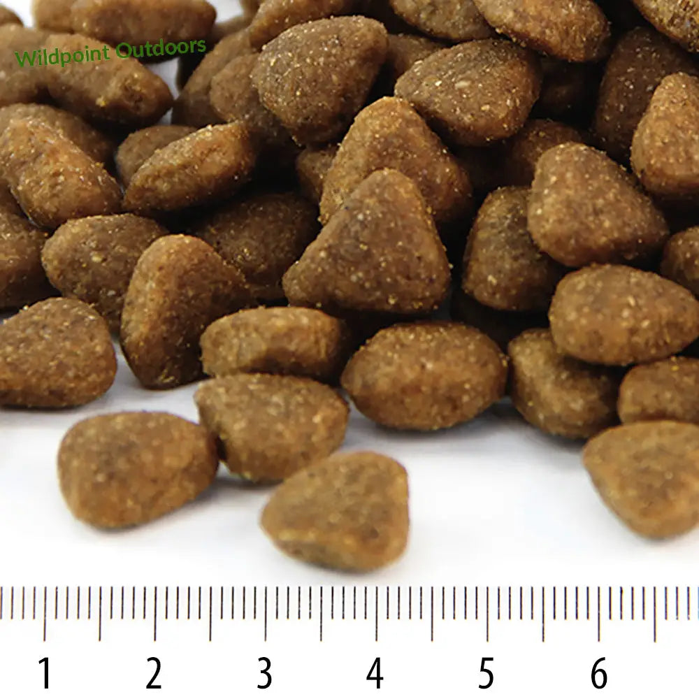 Pentu rokka - wildpoint outdoors retkeily