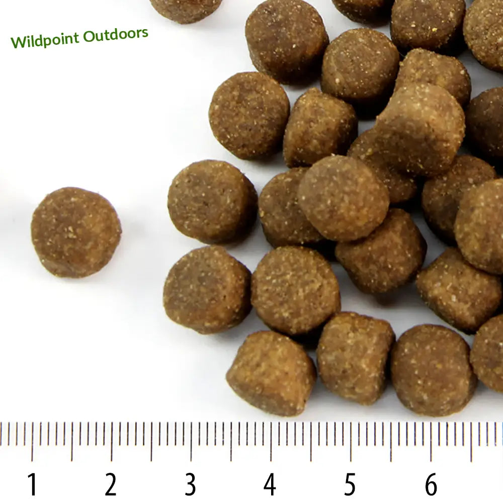 Perus rokka - wildpoint outdoors retkeily