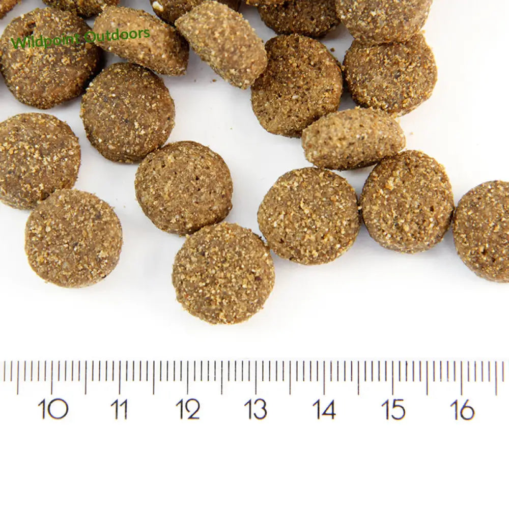 Probooster adult light & senior chicken - wildpoint retkeily