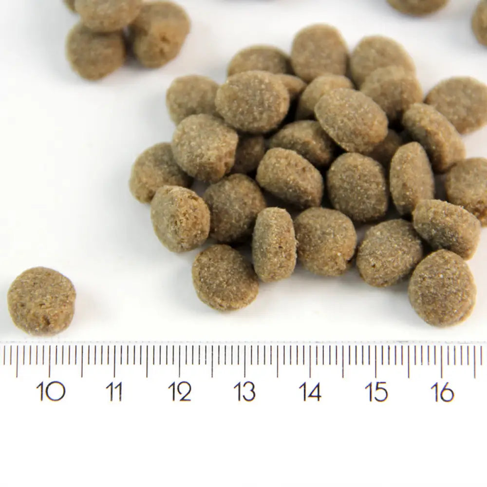 Probooster puppy sensitive lamb - wildpoint outdoors retkeilyvarusteet verkkokaupasta