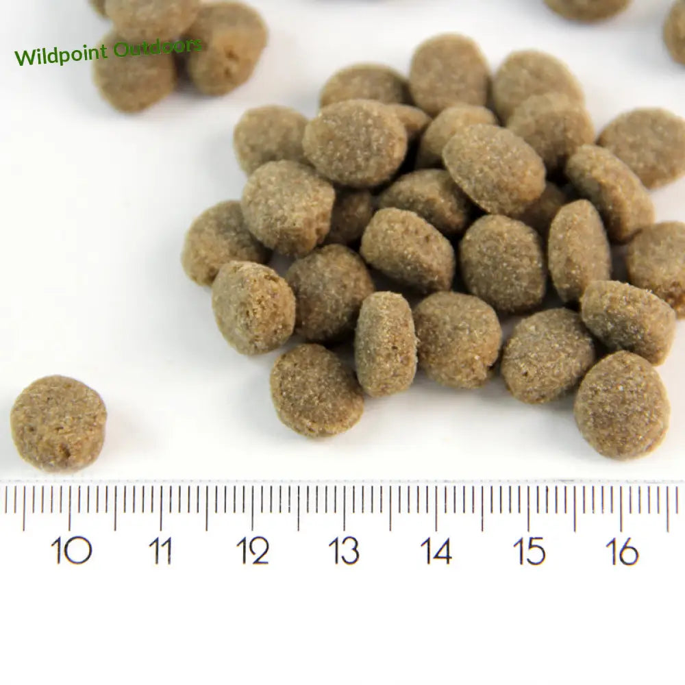 Probooster puppy sensitive lamb - wildpoint outdoors retkeily