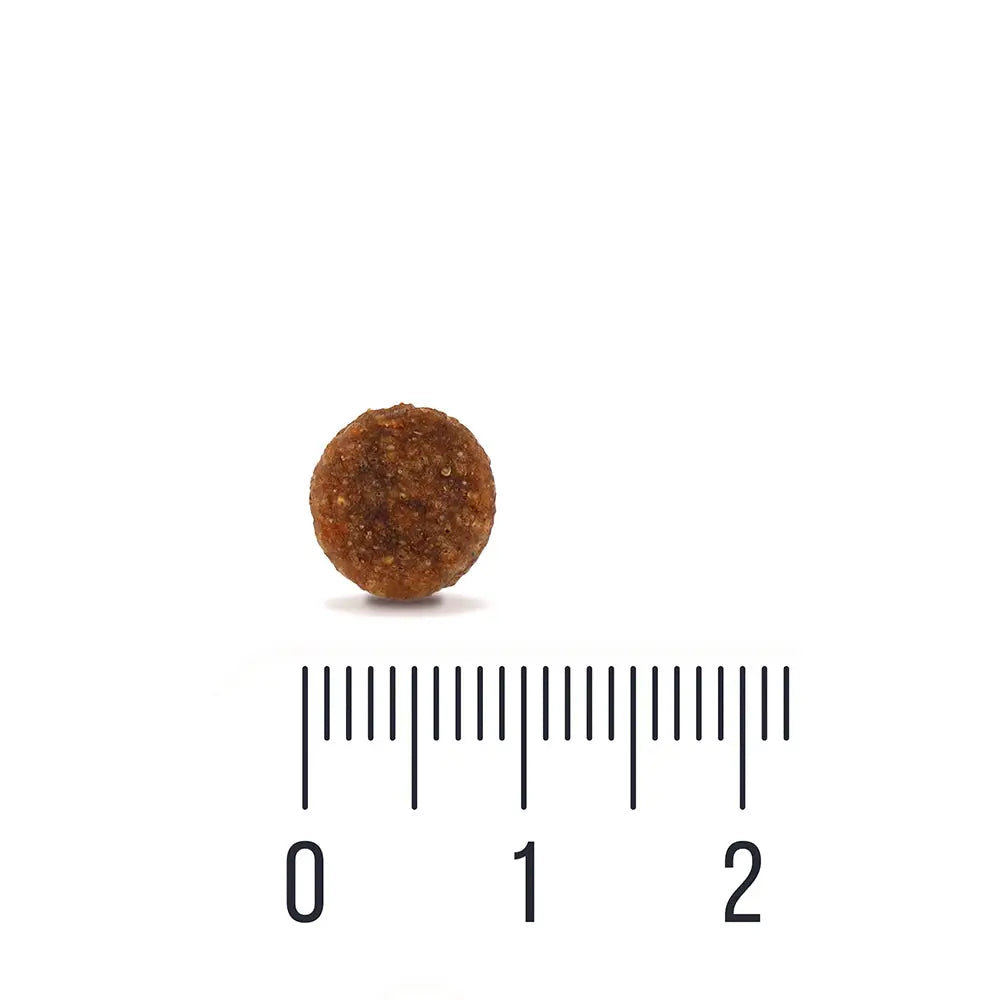 Yksi pyöreä ruskea pelletti quattro cat adult extra poultry täysravintoa aikuisille kissoille mittatikun yllä