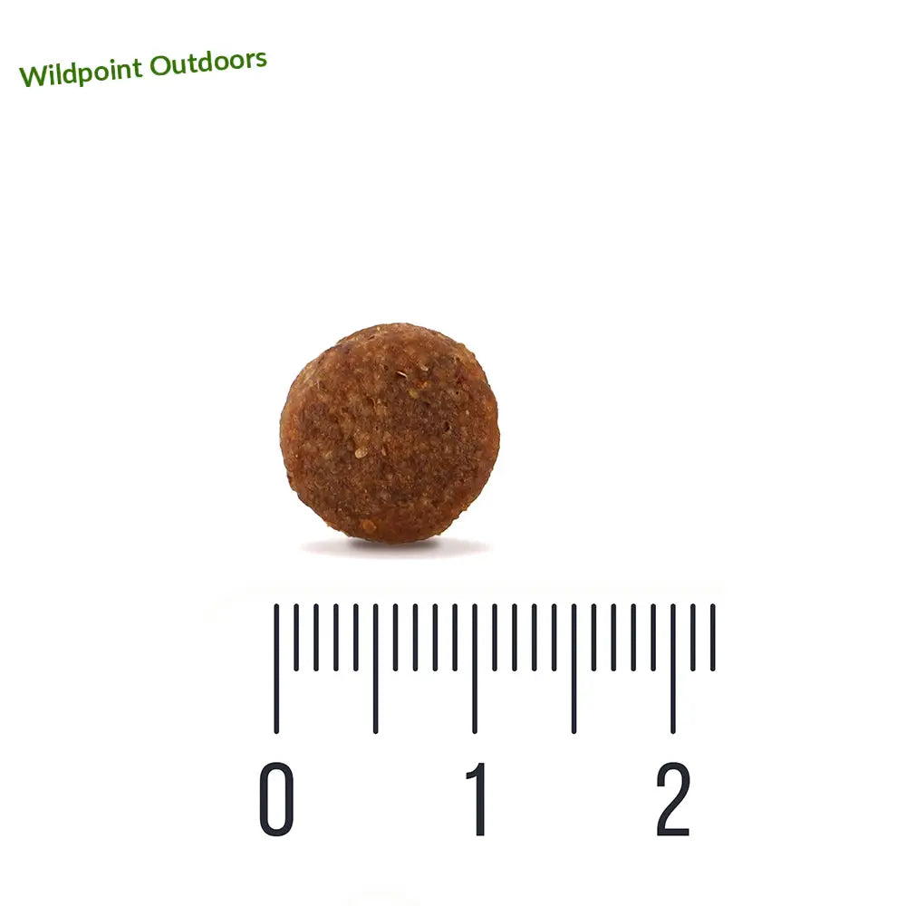 Quattro dog mini adult small breed - wildpoint outdoors retkeily