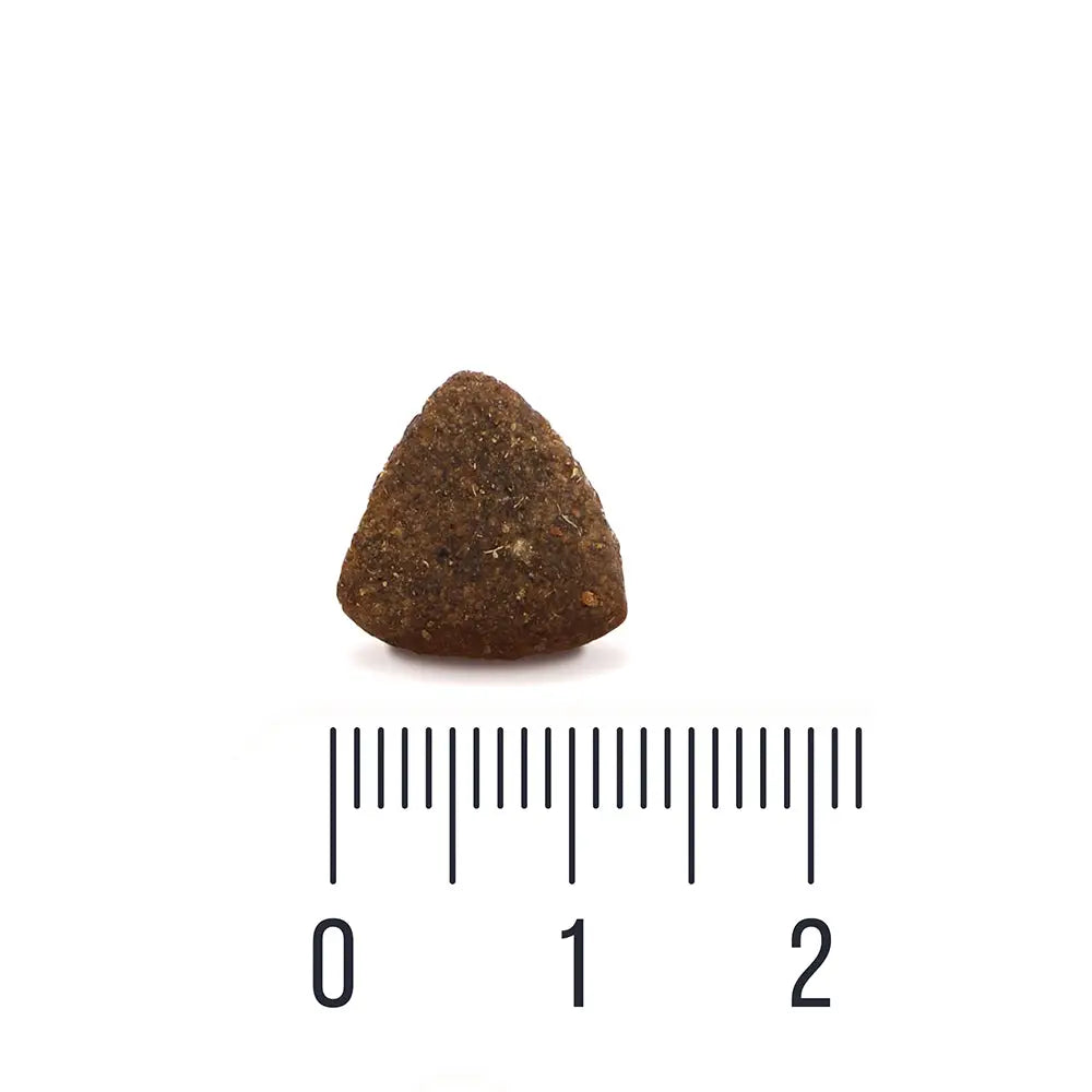 Quattro dog small breed adult with lamb - koiranruoka viljaton mono protein koirille retkeilyvarusteet verkkokaupasta