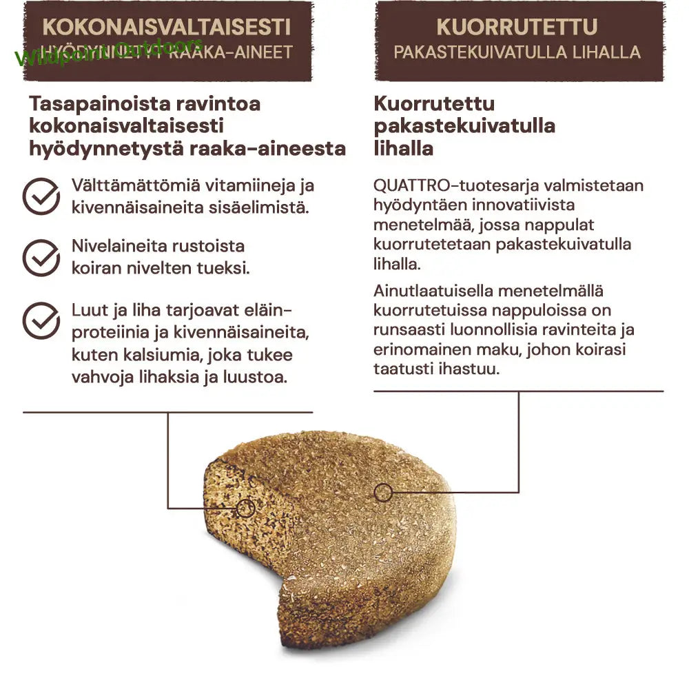 Quattro dog small breed adult with lamb - wildpoint retkeily